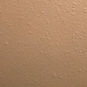 Meet your Posher, Pugalenthi